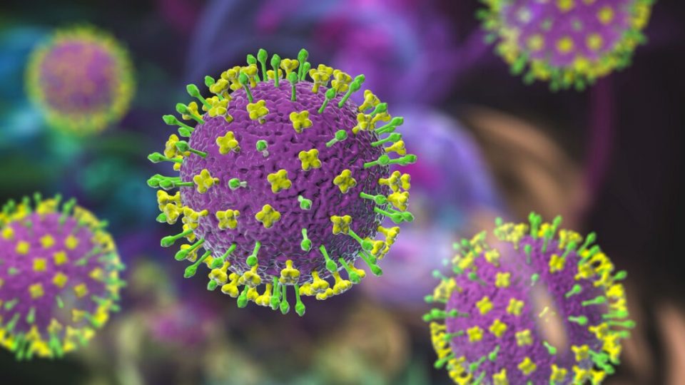 Nuevo brote del virus Nipah
